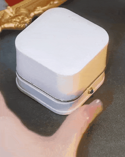 Gold-Plated Mesh Drop Necklaces/Earrings